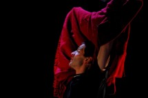 Photo du spectacle La dernière balade de Lucy Jordan, par Fond de Scène